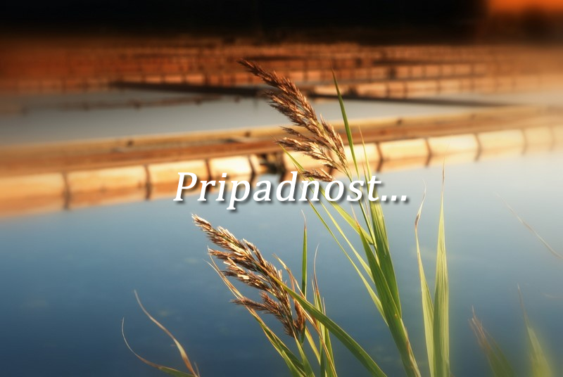 VSTRAJNOST: ZGREŠENA TRDOVRATNOST  